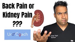 Ouch !! Back Pain or Kidney Pain ??!! thumbnail