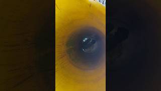 720 sidi suniki mo pand ru  jhalo bahari bo na nalo bahari bo mu kichhi jani paruni 🤣#vairal #funny