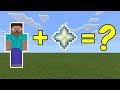 I Combined Steve and a Nether Star in Minecraft - Here's What Happened...