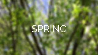 Spring | Piano Instrumental | Sleep Music | Soaking Music