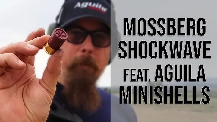 #Teaser – Mossberg Shockwave featuring Aguila Minishells