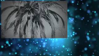 McHales Navy S3E17