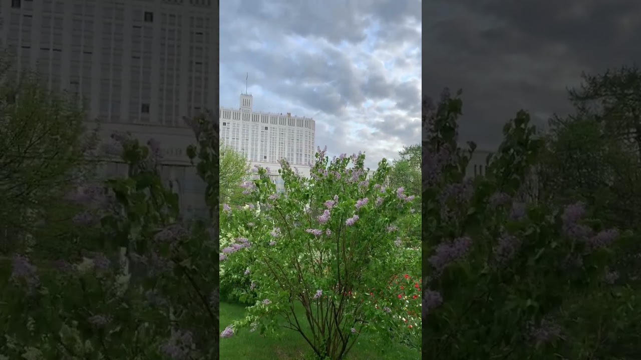 Moscow beautiful spring