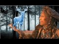 Was The Patronus Charm Created By Native American Wizardkind?