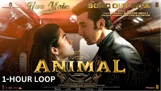 ANIMAL: HUA MAIN- 1 Hour Loop | Ranbir Kapoor | Rashmika M | Sandeep V | Raghav,Manoj M | Bhushan K