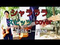 シャララ スピッツ(spitz) 弾き語り カバー/浅井しんや   #Shorts