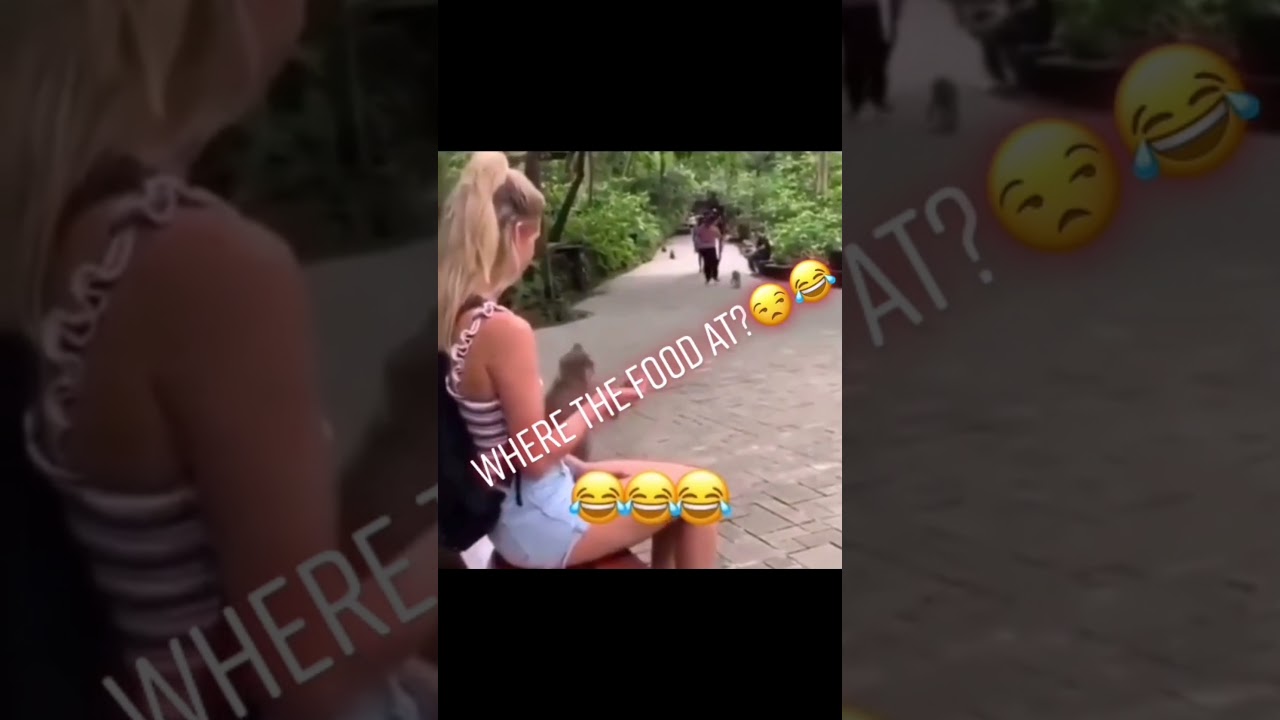 Monkey 🙊 Thug life : Funny Video