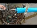 New Technique Of Catching - Believe This Fishing? Unique Fish Trapping System Country Fish