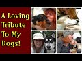 🐶 A Loving Tribute To My Dogs! 🐶