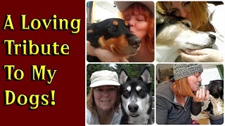 🐶 A Loving Tribute To My Dogs! 🐶