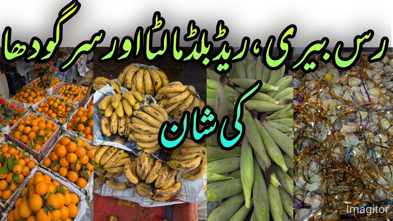🍎 Islamabad Fruit Mandi Today | Fresh Fruit Prices Quality, Demand & Supply Analysis | Mayar Vlog |