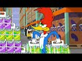 A Batalha de Aniversário do Pica-Pau!| Pica-Pau | Desenhos Animados em Português