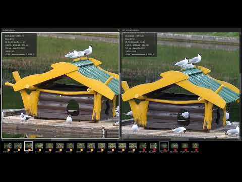 Nikkor 80-400 VS 70-300 AF-P