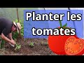 Comment planter des tomates en mai  