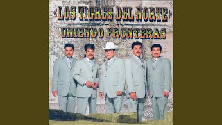 Video thumbnail of "Los Tigres Del Norte - Mi Fantasía"