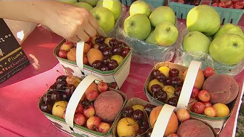 Farmers market lies exposed: hidden camera investigation (Marketplace) - DayDayNews