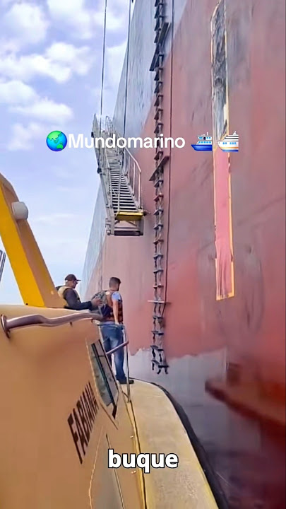 Mundo marino #abordando#barco#losgigantesdelmar#antartida#naufrago#barcosdecarga#altamar#tsunami