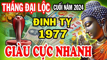 ĐIỀM BÁO CHẤN ĐỘNG, Đinh Tỵ 1977 Thần Tài Ưu Ái Tiền Nhét Nứt Két Cực Giàu 3 tháng cuối năm 2024