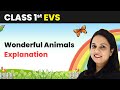 Class 1 EVS | Wonderful Animals - Explanation