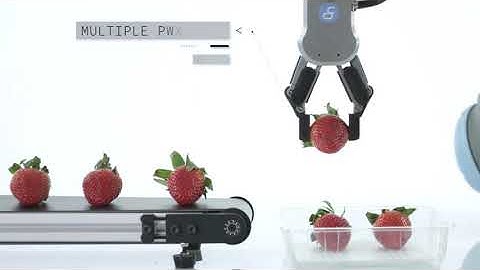 Autoline OnRobot RG2 and RG6 Grippers