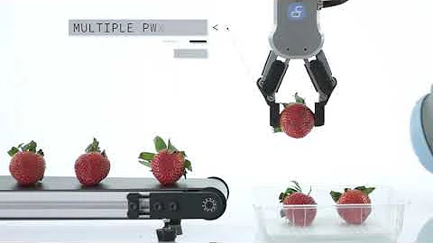 Autoline OnRobot RG2 and RG6 Grippers