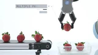 Autoline OnRobot RG2 and RG6 Grippers