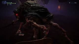 Night Aspect Executor Solo - Elden Ring Nightreign