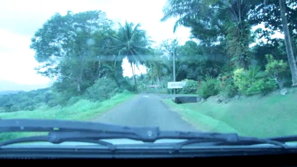 Grande Savane PETIT BOURG GUADELOUPE