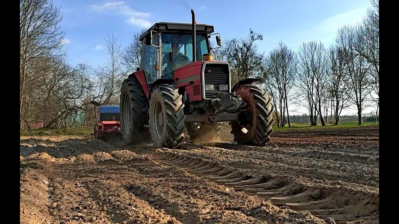 🌾Siew Pszenicy 2023🌾 Wiosna🌾 Massey Ferguson 3080 & Isaria🌾