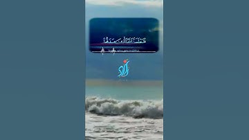 احسب الناس أن يتركوا #تلاوة_خاشعة #الله #اجمل صوت #تلاوات #