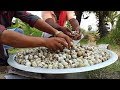 1000 Quail eggs - Quail Egg Gravy Recipe - Cooking skill Village Food Channel