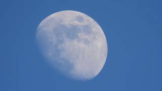 Luna crescente del 21 gennaio 2024 ore 16 e 30.