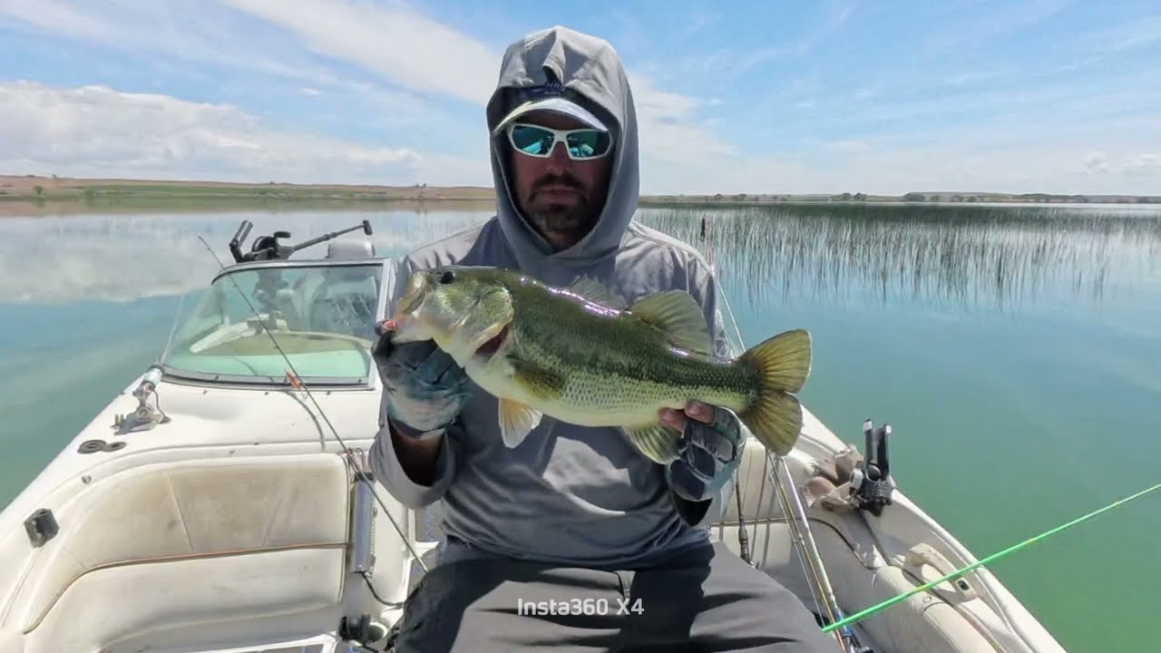 50+ Fish Day at Pelican Lake, North Eastern Utah, Largemouth Bass Fishing, May  27 2025