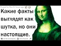 Реальные факты, которые звучат как шутка