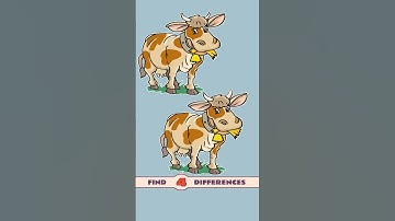 Find four differences,#462 #quiz