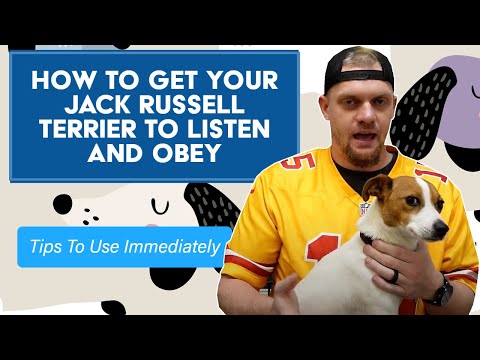 How To Get