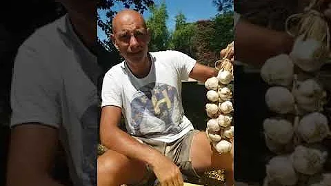 Come si chiama una treccia di aglio?