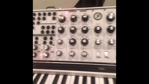 White Moog Voyager XL