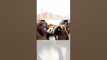 Adventure of Atan, Panpan, and Bery in England - AI Video #veo3 #aivideo #viralvideo #veo2 #animals