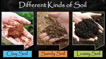 CLASS THREE || SCIENCE || CHAPTER-5 || SOIL