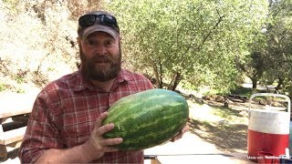 How Long Does A Watermelon Keep? | WATCH THIS BEFORE STORING WATERMELON