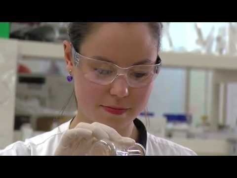 Vídeo: Molecular Food: Chemists Show