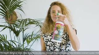 VENTEO - Barrage Aux Insectes Teleshopping - Interieur & Exterieur | Lot De 3 |spray Fourmis - Multi-insectes | Anti Pucerons - Au Quotidien