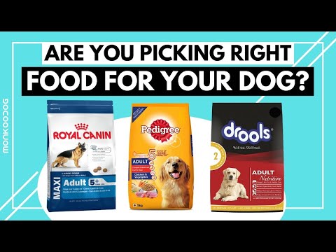 Video: Dry Dog food: Selection Rules