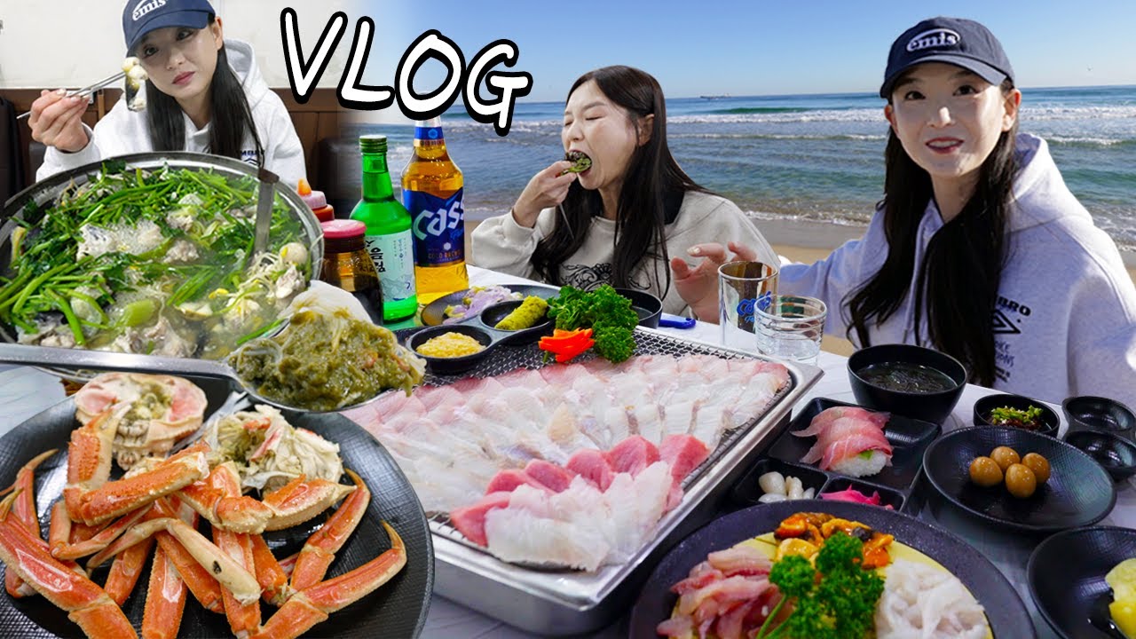 동해시 한 달 살기 각? 찐 맛집에 미친 뷰까지!🤣ㅣHamzy Vlog
