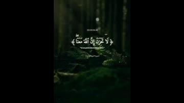 إرح سمعك. 🌷 (سورة التوبة اية ٤٠) #سورة_التوبة #عبدالرحمن_مسعد #القرآن_الكريم #quran #ارح_قلبك #نصائح