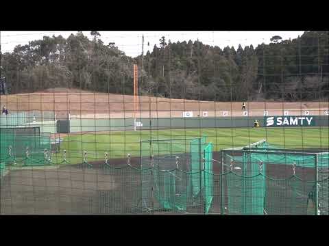 紅林弘太郎 打撃練習（2023 0204）