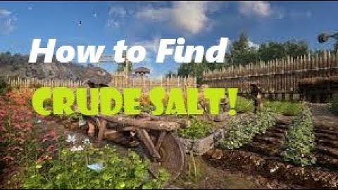 Myth of Empires- GUIDE to CRUDE SALT