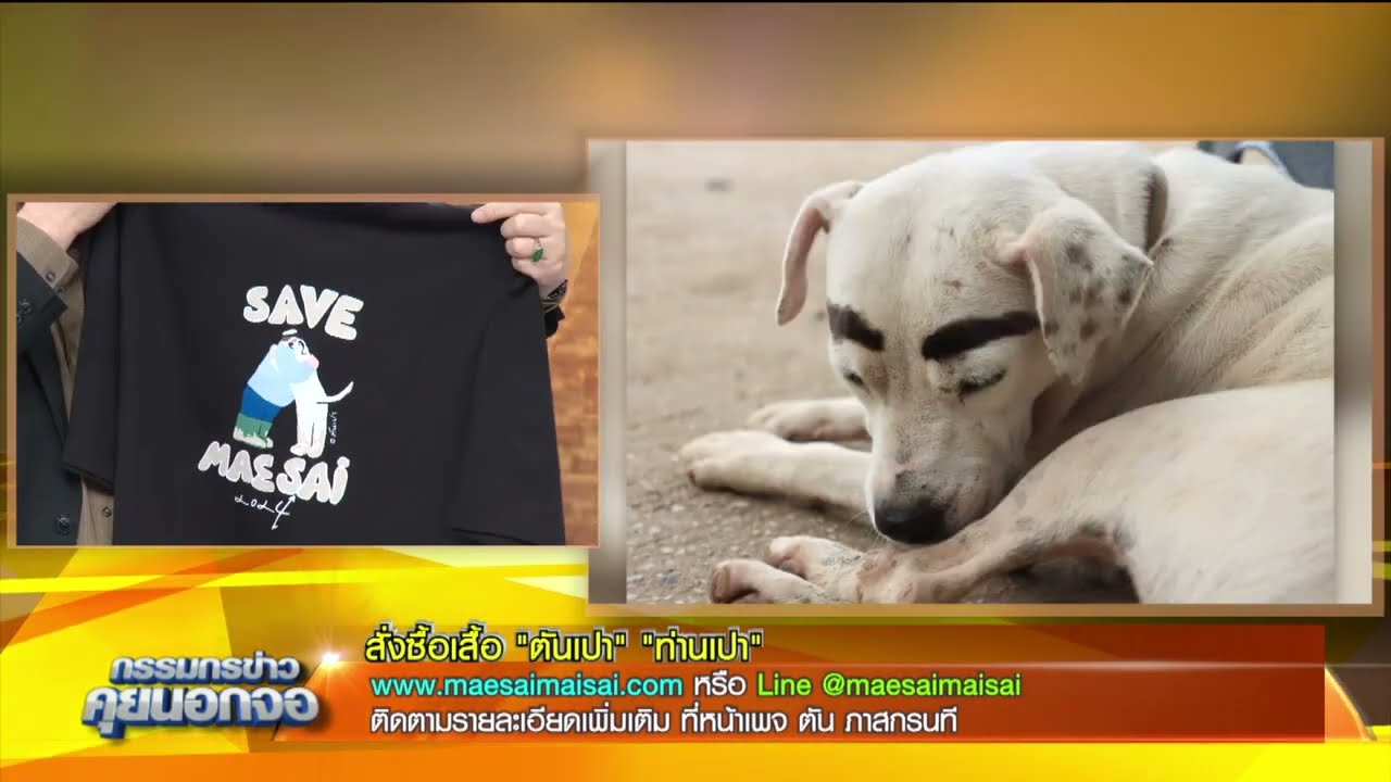 "เงินทุกบาทช่วยแม่สาย" Save maesai สั่งซื้อเสื้อ "ตันเปา" รายละเอียดเพิ่มเติม เพจ ตัน ภาสกรนที