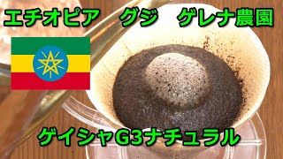 コーヒーVLOG　エチオピア　グジ　ゲレナ農園　ゲイシャG-3　ナチュラル　甘さが際立つコーヒー